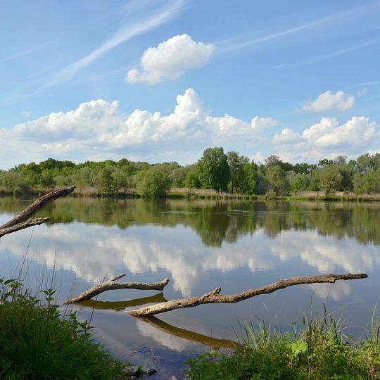 Auwald südlich der Donau