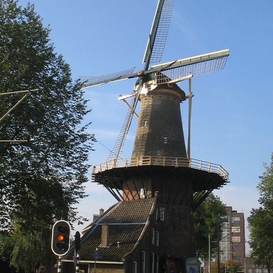 De Roos, Delft