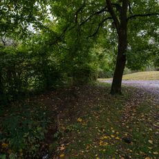 Feuchtgebiet im Gewann Mönchelenwiesen