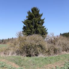 Doline Donnerloch E von Drossenhausen