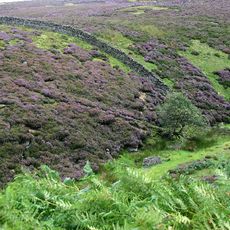 Upper Teesdale