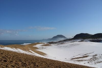Winter 2