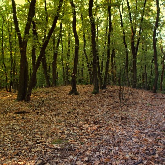 Hügelgräberfeld Ragerwald