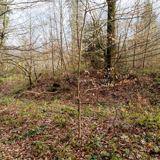 Untere und Obere Heidenburg, römische Erdkastelle