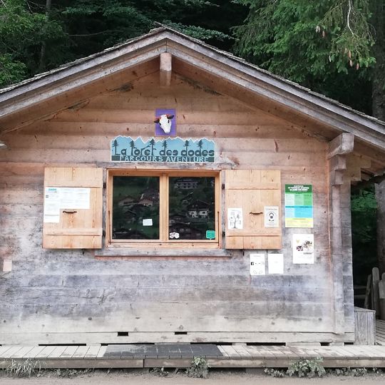 Parcours Aventure La foret des dodes