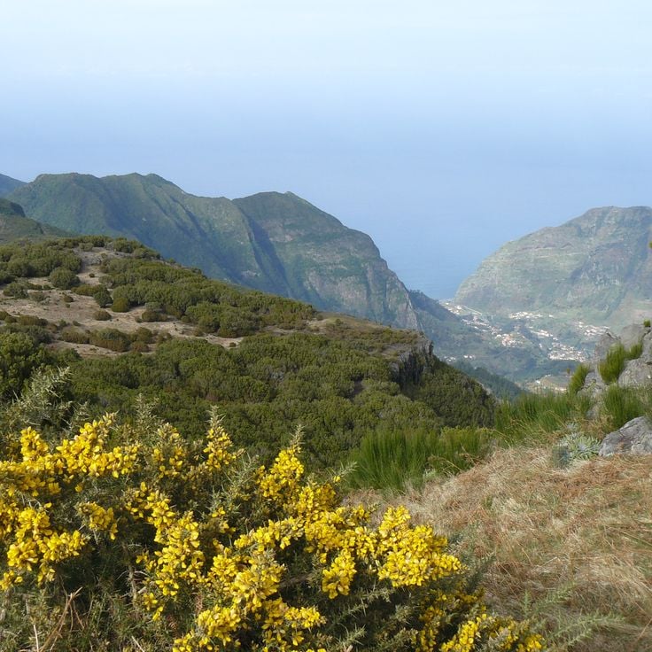 Miradouro da Bica da Cana