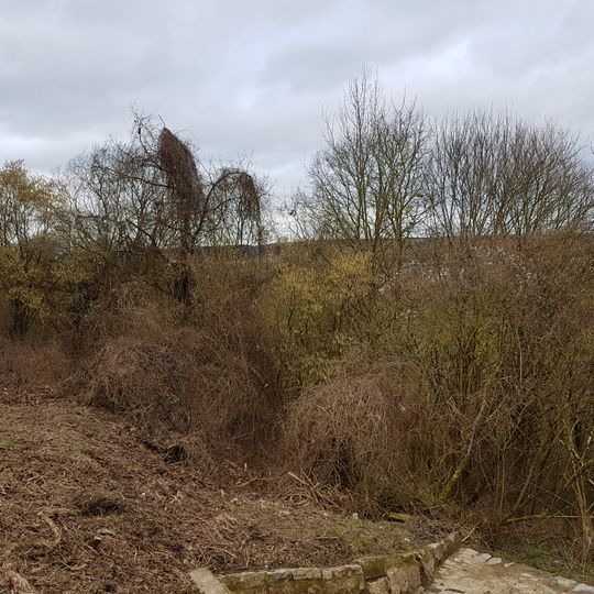 Naturdenkmal Sukzessionsfläche Wilm Leite