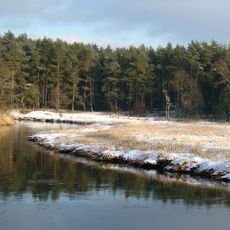 Lüneburger Ilmenauniederung mit Tiergarten