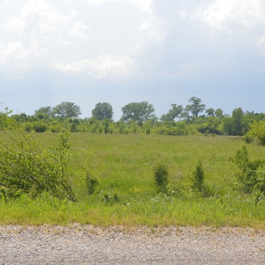 Horseshoe Lake Mound and Village Site