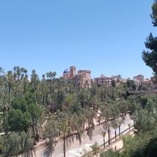 Viewpoint of the palm grove