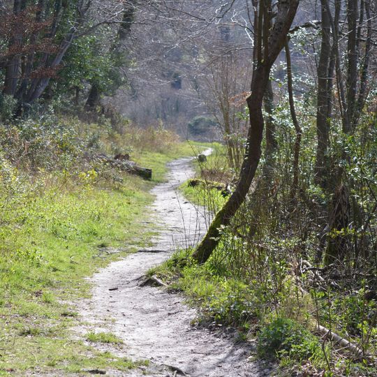 Gomm's Wood