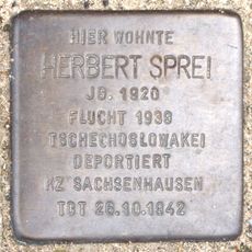 Stolperstein dedicated to Herbert Sprei