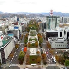 札幌電視塔