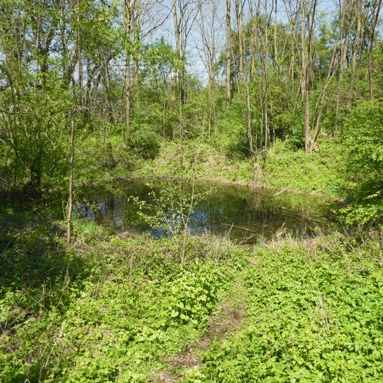 Feuchtgebiet im Gewann Oberer Wasen