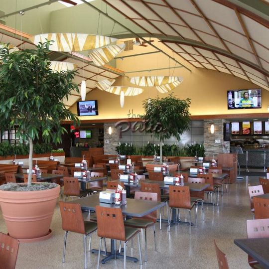 The Patio
