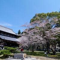 和歌山県