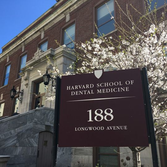 Harvard School of Dental Medicine