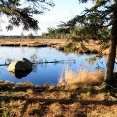 Komosse (naturreservat, Västra Götalands län)