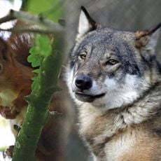 Wildwood Discovery Park