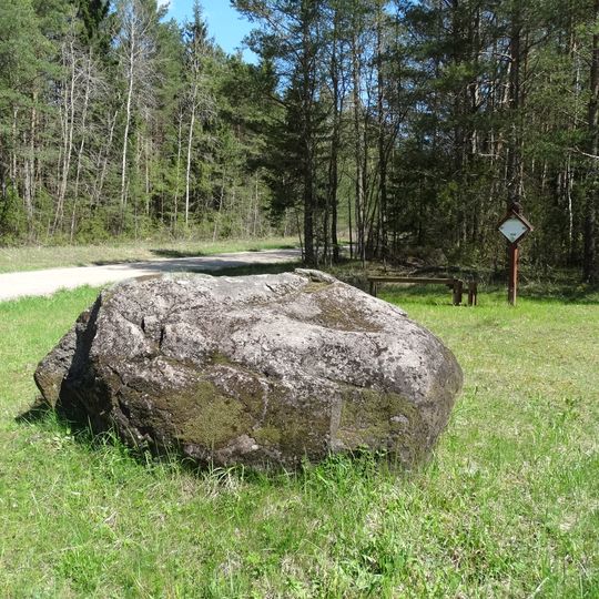 Dailidžių stone