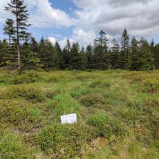 Rotenflosskamm