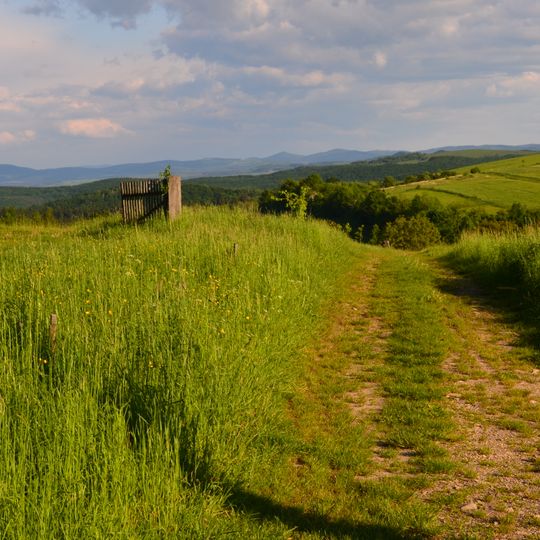 Rezerwat przyrody Kalwaria Pacławska
