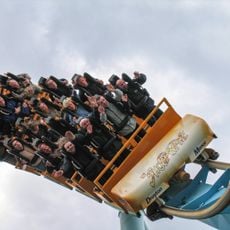The Shock Wave