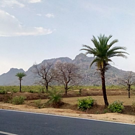 Trikut Hill
