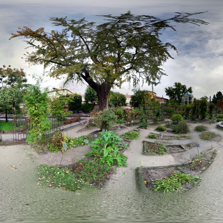 Orto Botanico di Padova