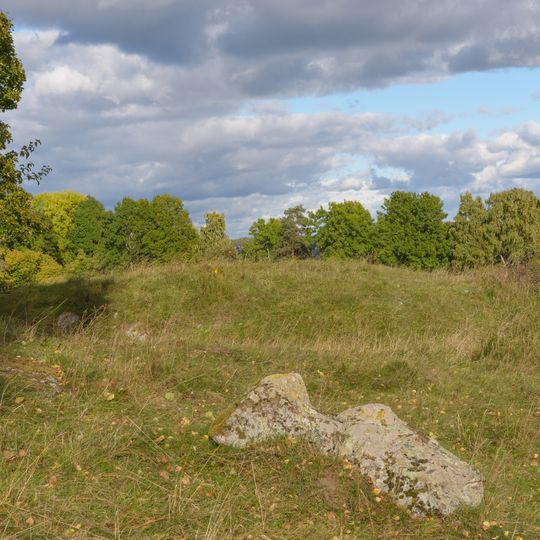 Nr 4 och 6: Kungshögarna