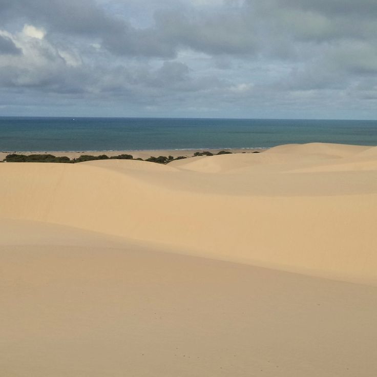 Dune di Rosado