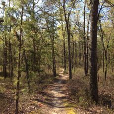 Batona Trail