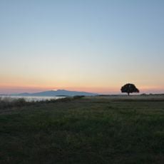 Gryneion