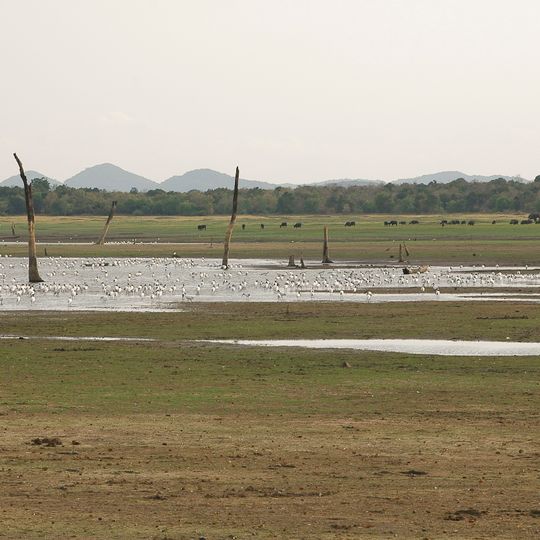 Minneriya National Park