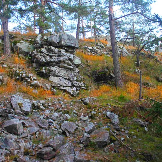 Serpentinitkuppe Peterleinstein NE von Kupferberg