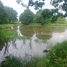 Wildenfelser Bach und Zschockener Teiche