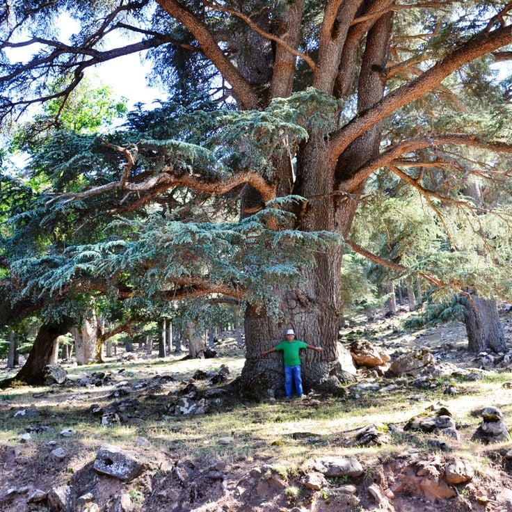 塞尼耶哈德國家公園