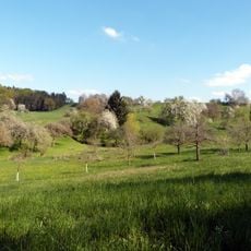 Crailsheimer Hart und Reusenberg