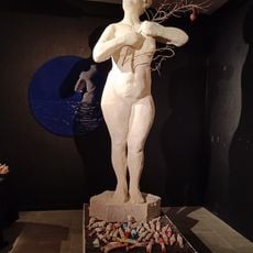Collections de Saint-Cyprien