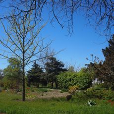 Botanical Garden of Kherson State University