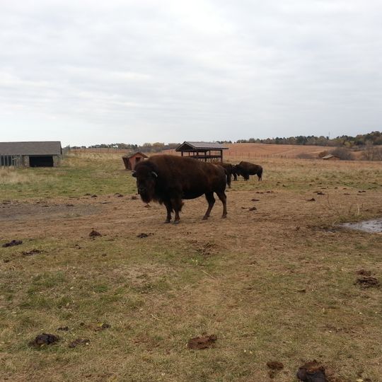 Pioneers Park Nature Center