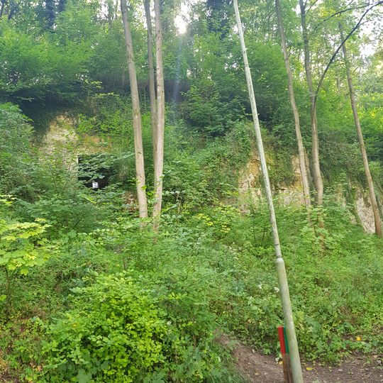 Groeve het Paradijsbergske I