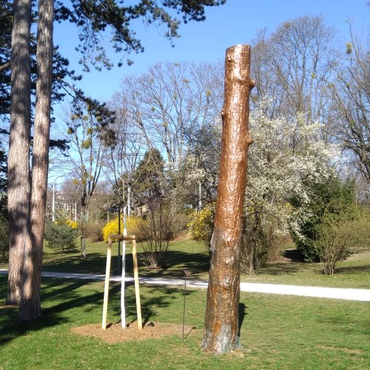 Virgen del Tesoro by Johanna Honisch