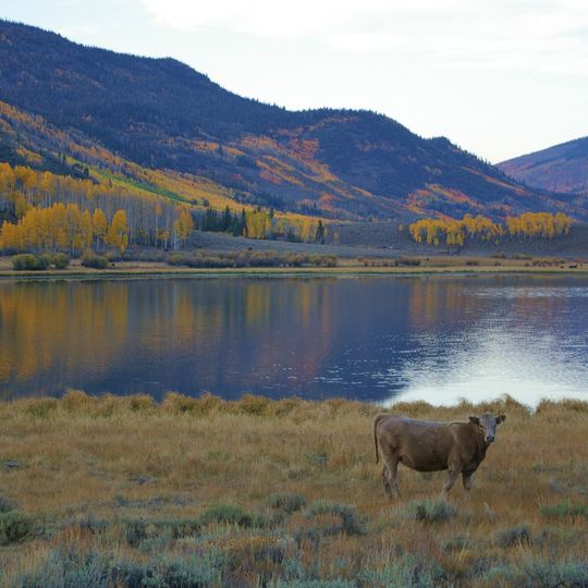 Fish Lake