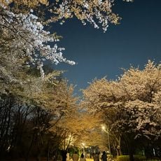 사슴우리