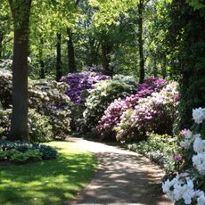 Rhododendron-Park Bremen