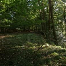 Pozůstatky dehtářských pecí