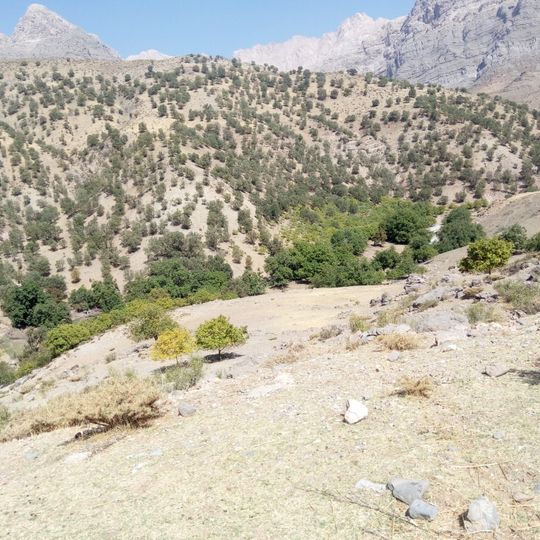 Distretto di Zərdab