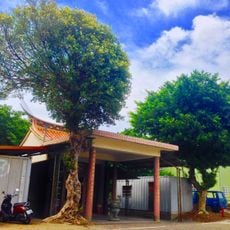 Yáng Tǒng Lǐng Temple