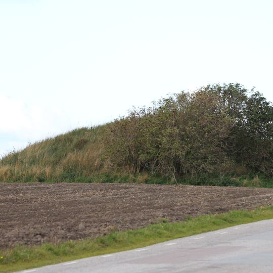 Ramshögarna, Ramms högar